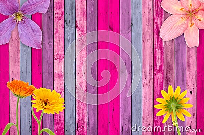 Pink Wood Background with Flowers Stock Photo