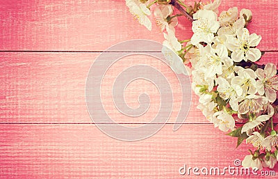 Pink wooden background with flowering sweet cherry branches. Toned image Stock Photo