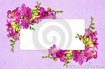 Pink and yellow freesia flowers in a corners arrangements with white card on lilac paper Stock Photo
