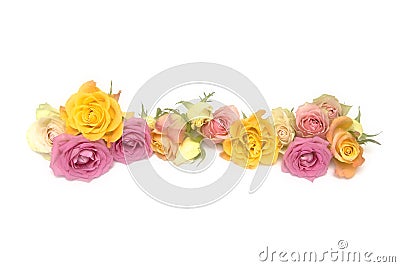 Pink and yellow roses Stock Photo