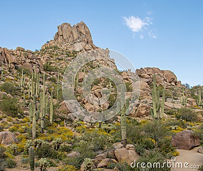 Pinnacle Peak Hiking Trail In North Scottsdale Arizona In Spring time Stock Photo