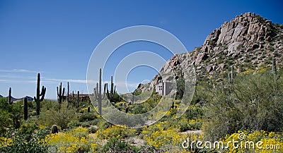 Pinnacle Peak park trail Stock Photo