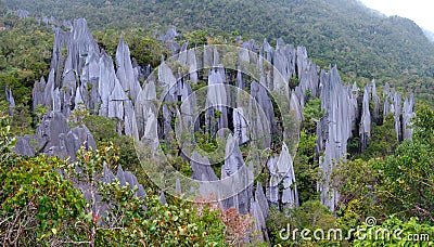 Pinnacles, Gunung Mulu, Borneo, Malaysia Stock Photo
