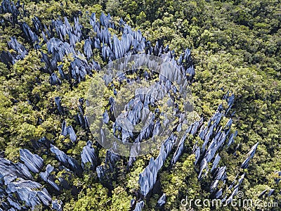 Pinnacles in Gunung Mulu National Park Borneo Malasia. Stock Photo