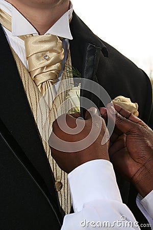 Pinning rose on suit Stock Photo