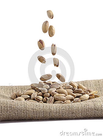 Pinon Stock Photo