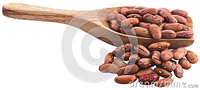 Pinto bean or speckled bean Stock Photo