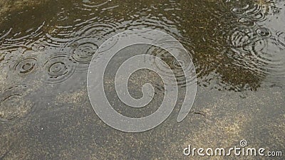 Piogge monsoniche cadute per terra Riprese di materiale video in calcestruzzo con pioggia pesante e pioggia Effetto sonoro di cad stock footage Piogge monsoniche cadute per terra Riprese di materiale video in calcestruzzo con pioggia pesante e pioggia Effetto sonoro di cad stock footage