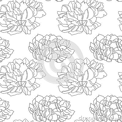 Pion flower texture illustration Cartoon Illustration