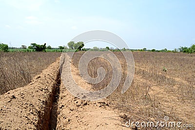 The pipeline root in dryland Stock Photo