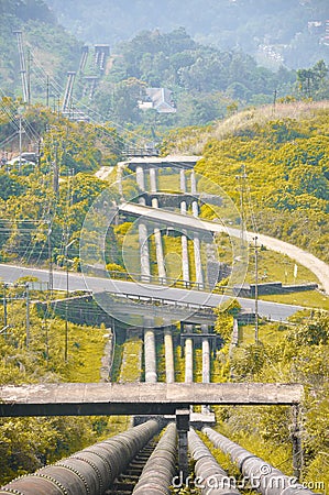 Pipeline under highways and the yellowish plants Stock Photo