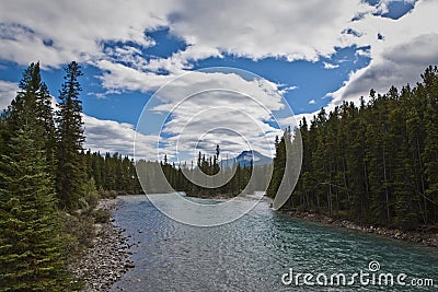 Pipestone River near Lake Louise - Banff Stock Photo