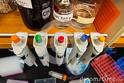 Pipets for use in a biology or chemistry Laboratory Stock Photo