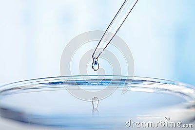 Pipette and petri dish in laboratory Stock Photo