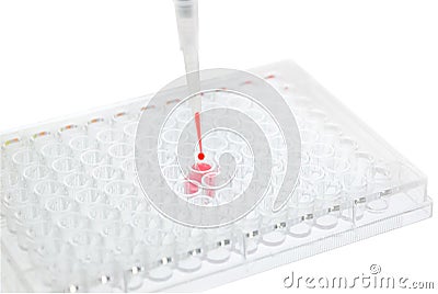 pipette test sample research test lab elisa ninety-six well plate analysis Stock Photo