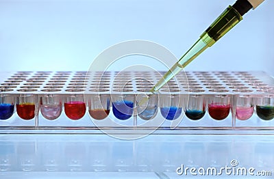 Pipetting sample Stock Photo