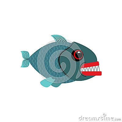 Piranha isolated. See Predatory fish on white background Vector Illustration