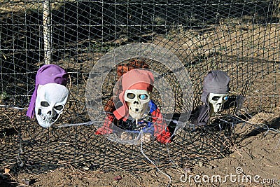 Pirate skeleton heads coming out of the ground Stock Photo