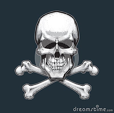 Pirates Skull and Bones Vector Illustration