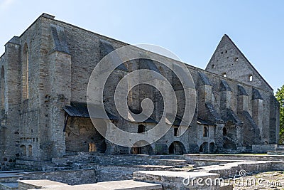 View of the ruins of the Saint Brigitta Convent in Pirita near Tallinn Editorial Stock Photo