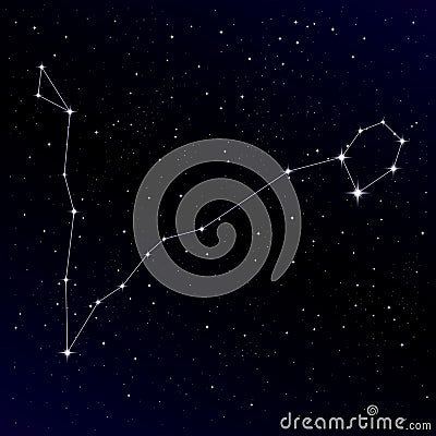 Pisces constellation Vector Illustration