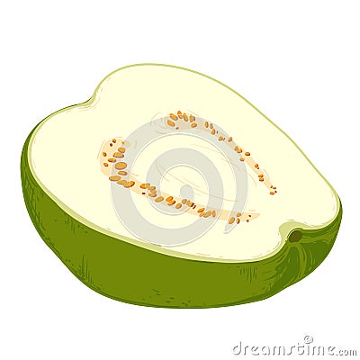 pise fresh guava. Vector illustration Vector Illustration