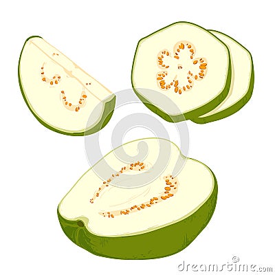pises fresh guava. Vector illustration Cartoon Illustration