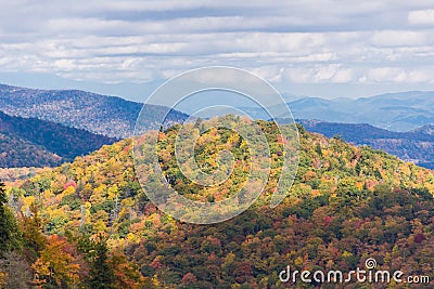 Pisgah National Forest Stock Photo
