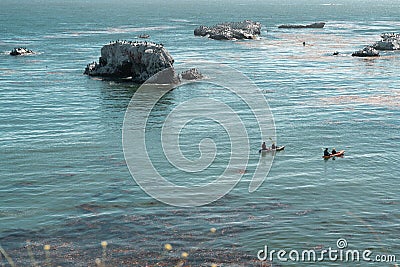 Rocks in the Ocean and Flock of Birds. Kayaking around the Rocks. Editorial Stock Photo