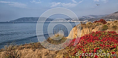 Pismo Beach seaside cliffs Stock Photo