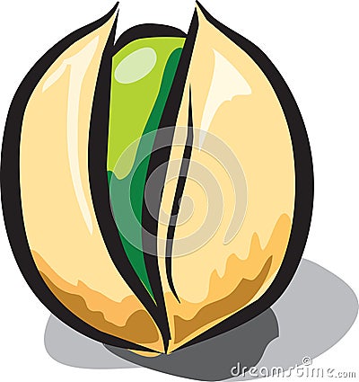 Pistachio nut Vector Illustration