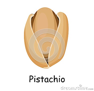 Pistachio. Vector illustration isolated on white background. Useful vegan food. Nuts are good Cartoon Illustration