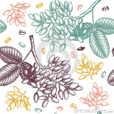 Pistachio vector seamless pattern. Hand drawn culinary Nut trees sketch. Perfect for recipe, menu, label, packaging, Vintage Vector Illustration