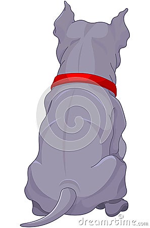 Pit Bull back Vector Illustration