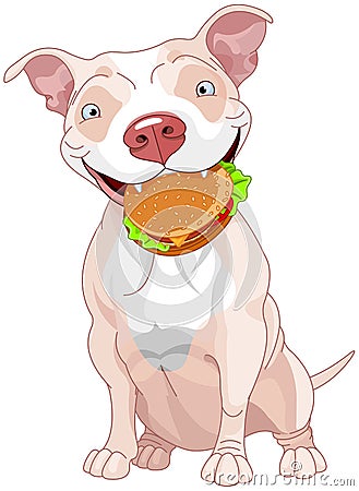 Pit Bull Dog Eats Hamburger Vector Illustration