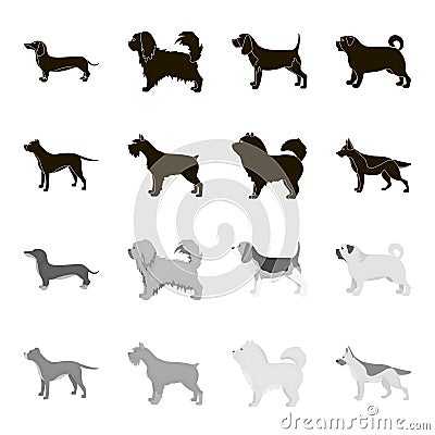 Pit bull, german shepherd, chow chow, schnauzer. Dog breeds set collection icons in black,monochrome style vector symbol Vector Illustration