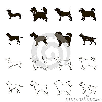 Pit bull, german shepherd, chow chow, schnauzer. Dog breeds set collection icons in black,outline style vector symbol Vector Illustration