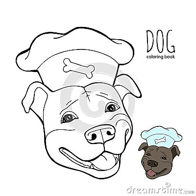 Pit bull Terrier in a chef`s cap. Coloring book page. Vector illustration. Vector logo pure-bred. Vector Illustration