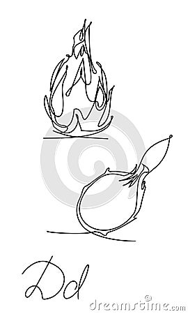 One line dragon fruit - one continuous line illustration. Linear art, tropical set. Vector Illustration