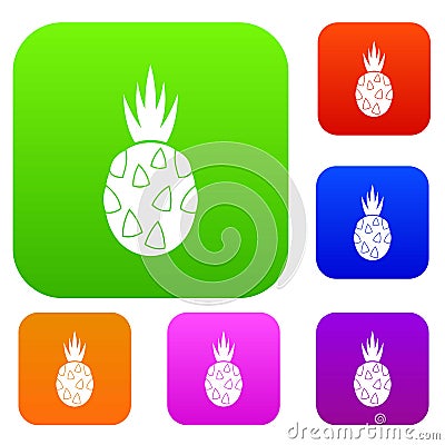 Pitaya, dragon fruit set collection Vector Illustration