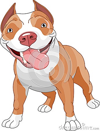 Pitbull dog Vector Illustration