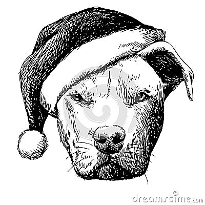 Pitbull dog with christmas santa hat Vector Illustration