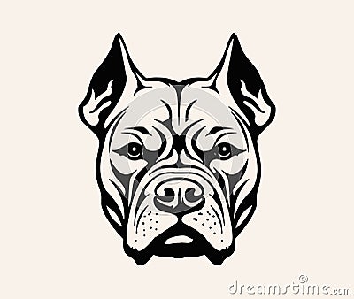 Pitbull dog head. Bulldog. Cool Pit bull. Dude Vector Illustration