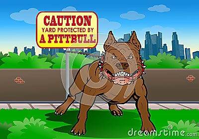 Pitbull guard the yard Stock Photo