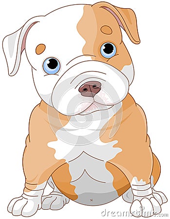 Pitbull puppy Vector Illustration