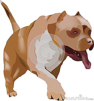 Pitbull terrier guard dog and self-defense- Vector Illustration