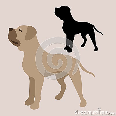 Pitbull terrier vector illustration style flat Vector Illustration