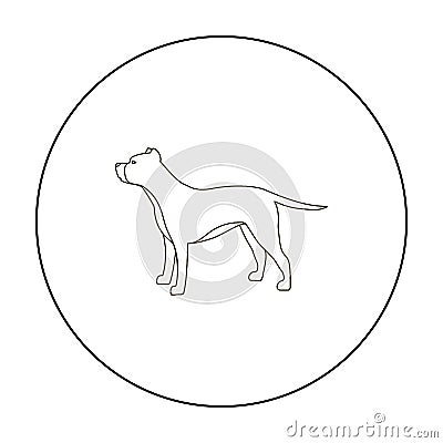 Pitbull vector icon in outline style for web Vector Illustration