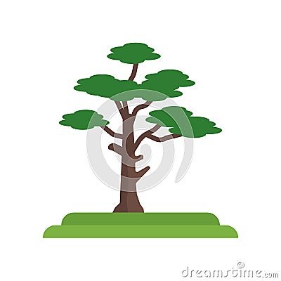 Pitch Pine tree icon vector sign and symbol isolated on white ba Vector Illustration