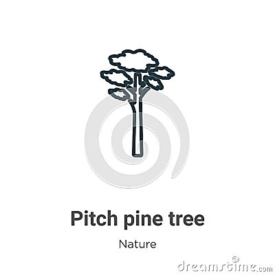 Pitch pine tree outline vector icon. Thin line black pitch pine tree icon, flat vector simple element illustration from editable Vector Illustration